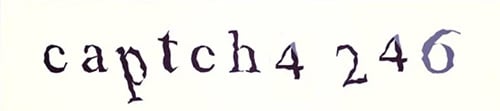 Captcha example
