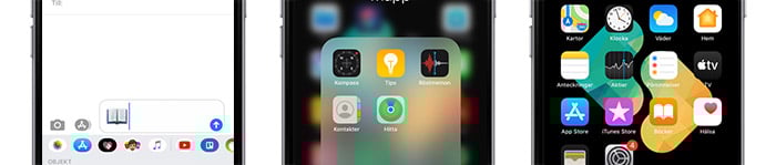 Bok-emojin Apple