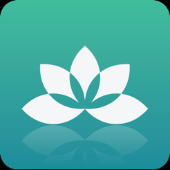 Appikon Yoga studio