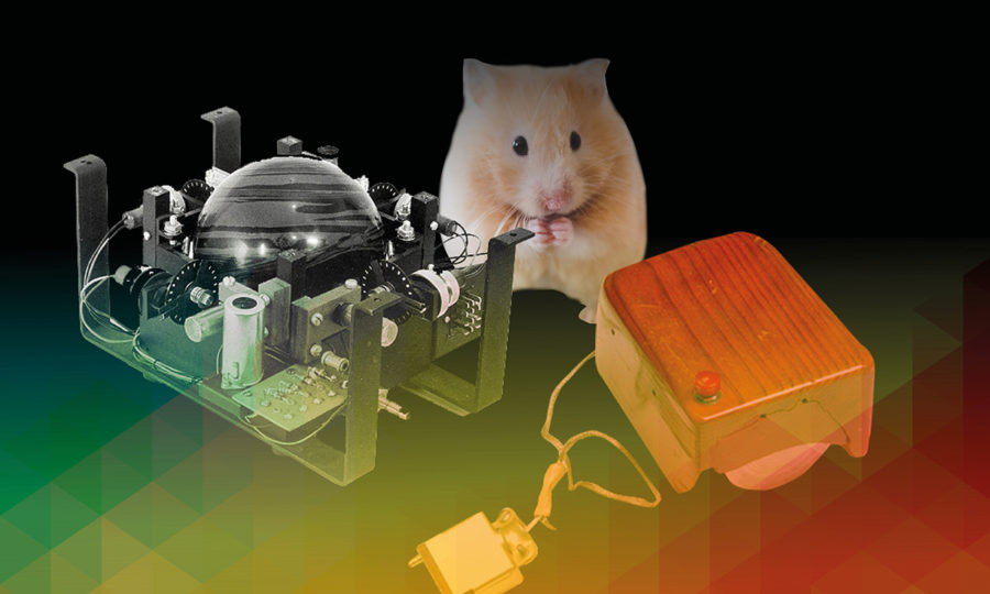 The history of the computer mouse | Dstny